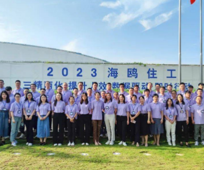 從戰(zhàn)略到執(zhí)行，四維衛(wèi)浴手把手教你如何破局