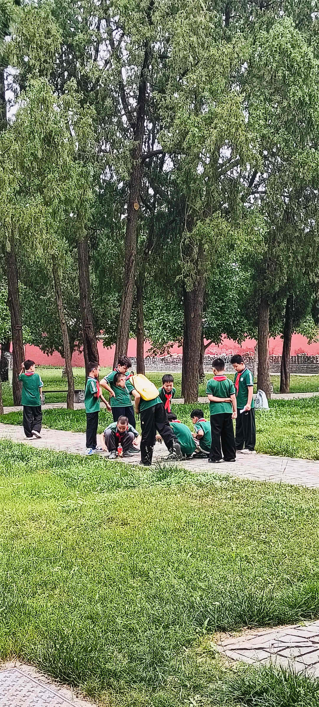 石家莊市盛世長安小學(xué)12.jpg